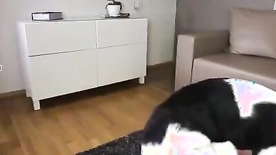 Art of zoo porn: real zoo porn