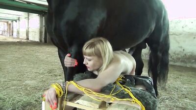 Bestiality porno: girls and dogs porn 11