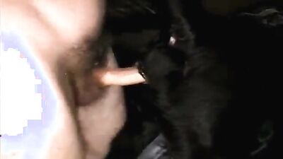 Dog fuck porn: zoo porn downloads