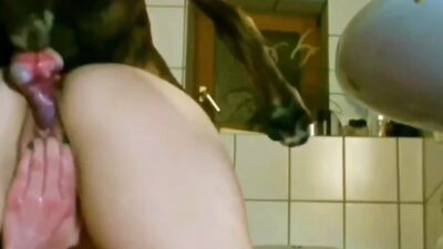 Dog's porn: real animals sex tubes