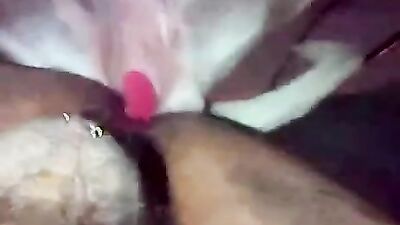 Girl cat dog: cartoon dog and girl