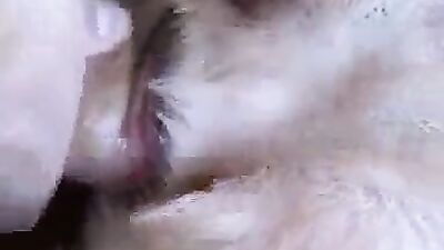 Animal sex: mimi dog girl porno