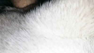 3d bestiality: zoo sex bbw