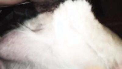 Animal porno: girl two dog