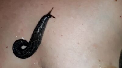 Zoo sex video: jenny simpson zoo porn