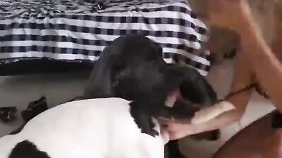 Women's dog sex: school girl dog