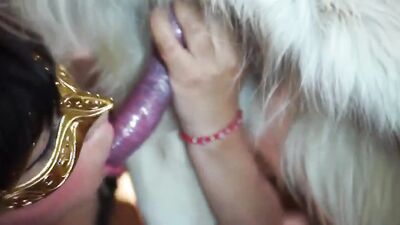 Zoo video: porno zoophilia dogs