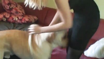 Bestiality hentai manga: porn animals ass
