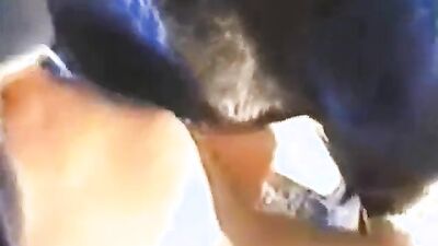 Dog gay porn: extreme dog porn