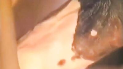 Dog gay porn: extreme dog porn