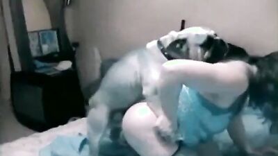 Girl cat dog: evalina with a dog porn