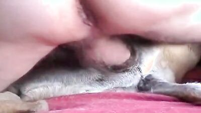 Dog's porn: young girls dog porn
