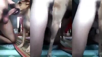 Bestiality: zoo sex download
