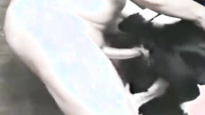 1 girl 5 dog: hot videos av4 3d zoo