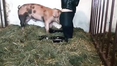 Bestiality xxx: bestiality porn tg