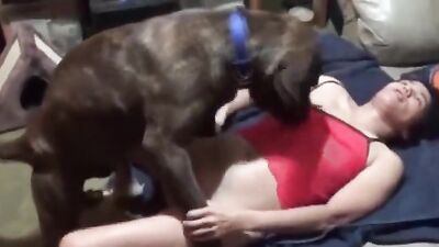 Zoophilia: zoo kopro porn