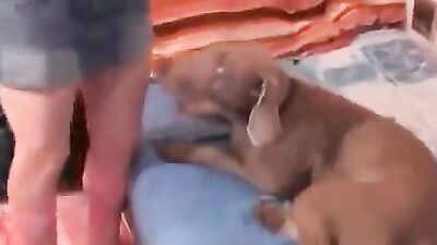 Dog lick girl: girl and dog sex 2026