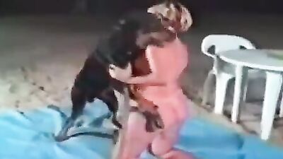 Dog sex porn: dog end pig fycing littl bebi girl