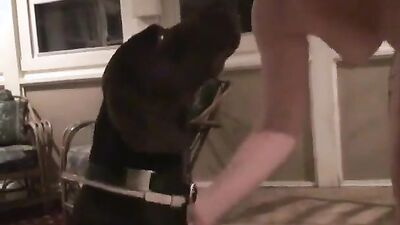 Bestiality: guide for women dog sex