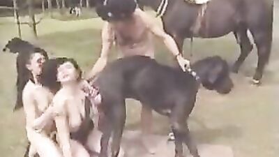 Dog sex porno: zoo porn syringe with sperm