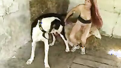 3d bestiality: gay man zoo porn 2026
