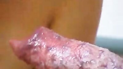 Bestiality dog: zoo woman sex porn games