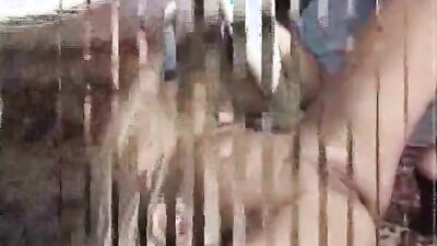 Animal porn: animal sex mult