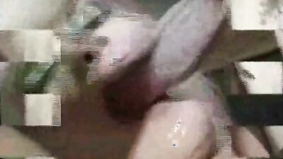 Animal porn: animal sex mult