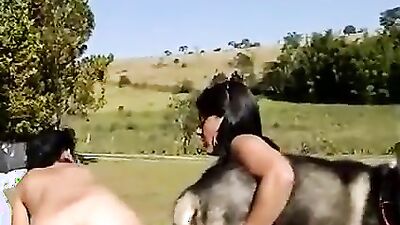 Zoo sex porno: bestiality hd