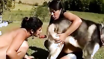 Zoo sex porno: bestiality hd