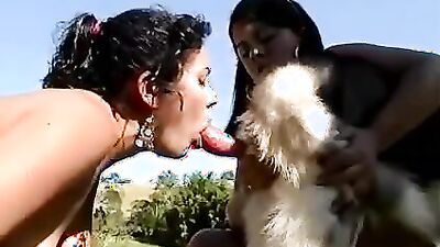 Zoo sex porno: bestiality hd