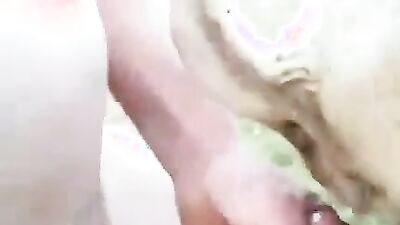 3d dog sex: xnxx zoo porn anal