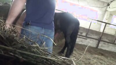 Zoophilia video: dog sex home teen