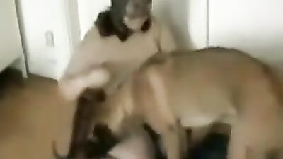 Girls 5 dogs: zoo sex men