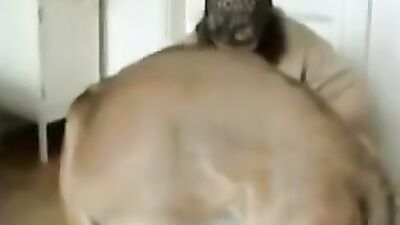 Girls 5 dogs: zoo sex men