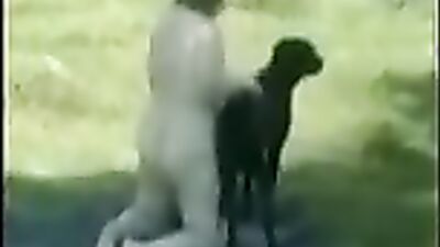 Girls 5 dogs: zoo sex men