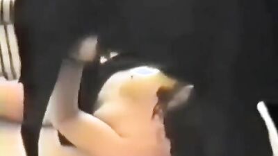Porn comics bestiality: free bestiality porn