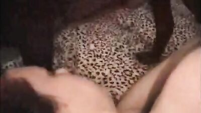 Dog lick girl: pussy zoo porn