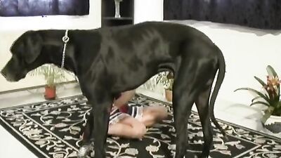 Animal porno: hentai zoophilia 3d porno