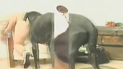 Zoo horse porn: drink dog porn