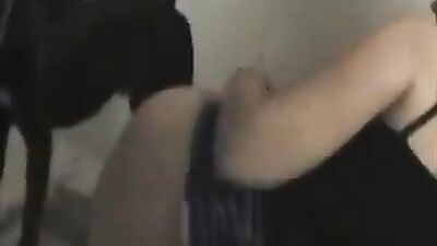 Animal porno: animal sex beastiality