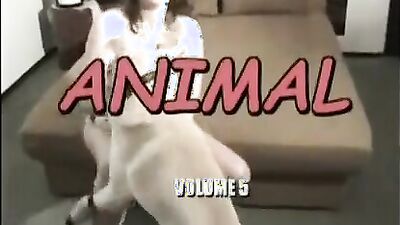 Girl cat dog: zoophilia guys