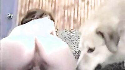 Animal sex porn: stephanie watson with dog sex