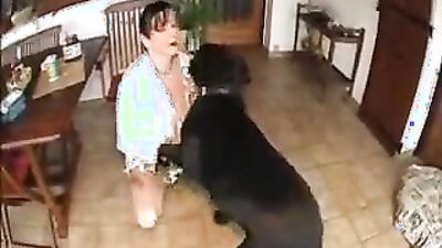 Dog girl: zoo dogs sex porno