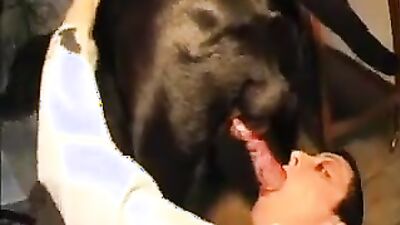 Dog girl: zoo dogs sex porno