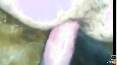 Bestiality games: foto porn animal fantasy island