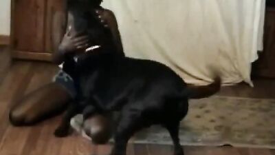 Sex animal's: zoofilia porn dogs
