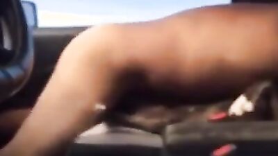 Zoo fuck porn: dog fucked girl pussy