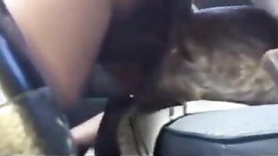 Zoo fuck porn: dog fucked girl pussy