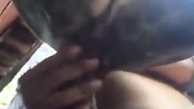 Zoo fuck porn: dog fucked girl pussy
